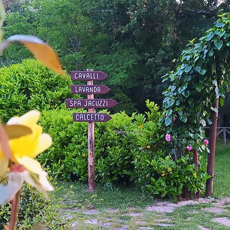 Agriturismo Podere Poggiarone Rapolano Terme Exterior foto
